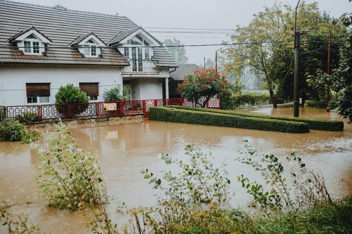 What Is Water Damage?