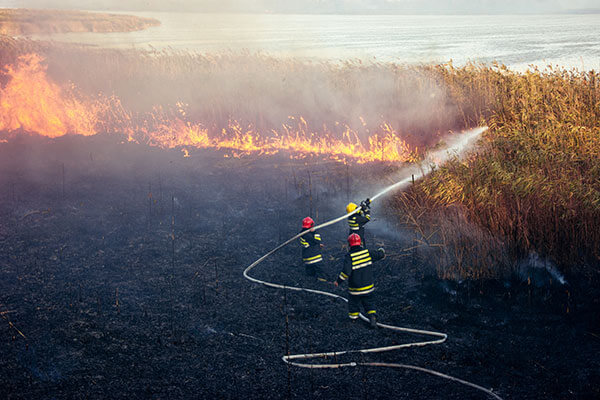 Firefighters putting out wildfire Wildfire