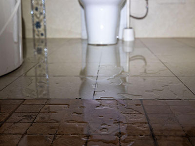 Toilet overflow cleanup