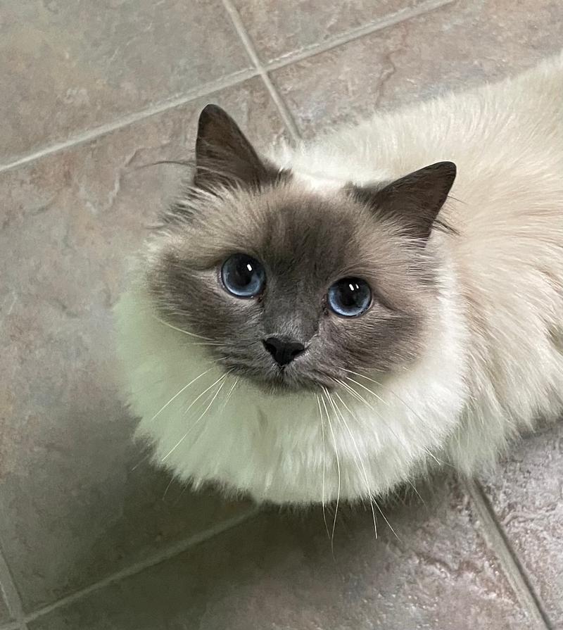Rory