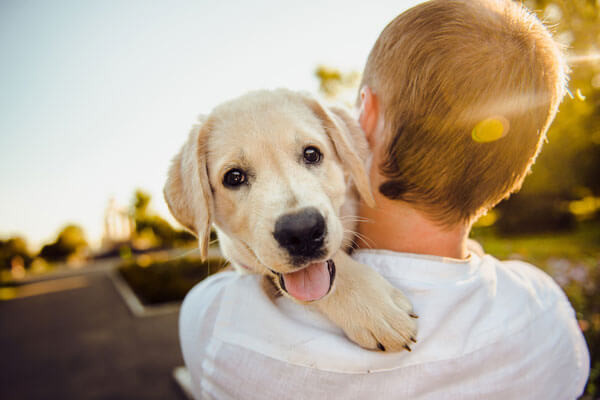 volunteer at our shelter today