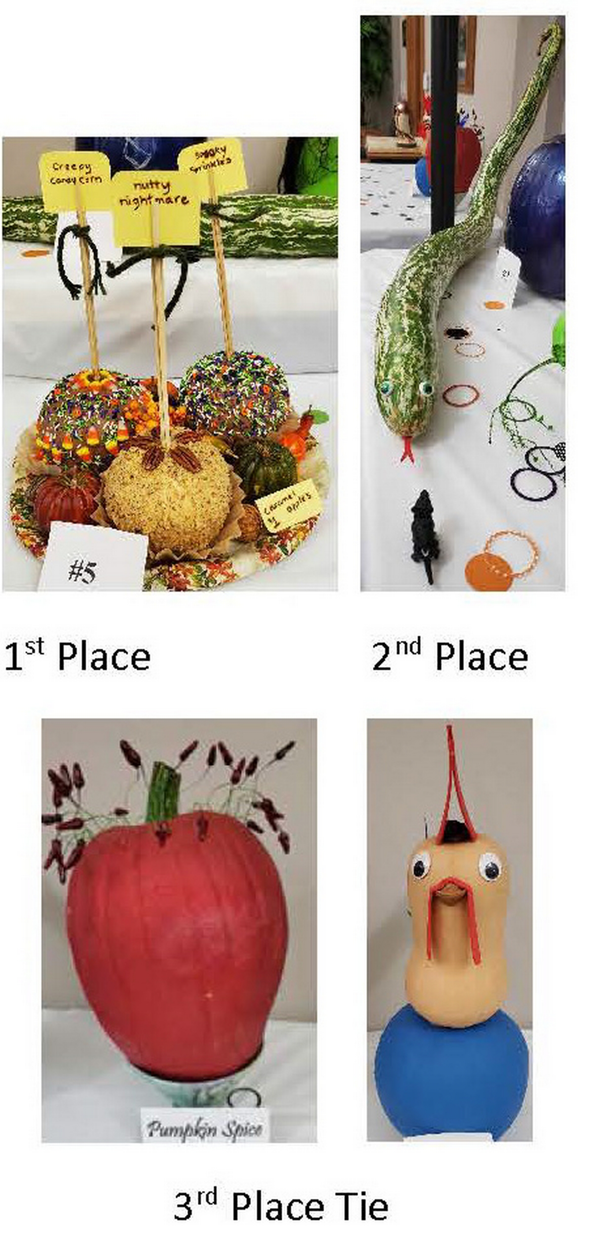 Pumpkin Contest Winners 2023