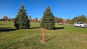 DBAECCAA-20241017_153642.jpg