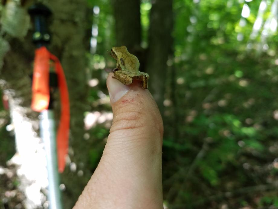 Field Photos Riverside Land Surveying LLC