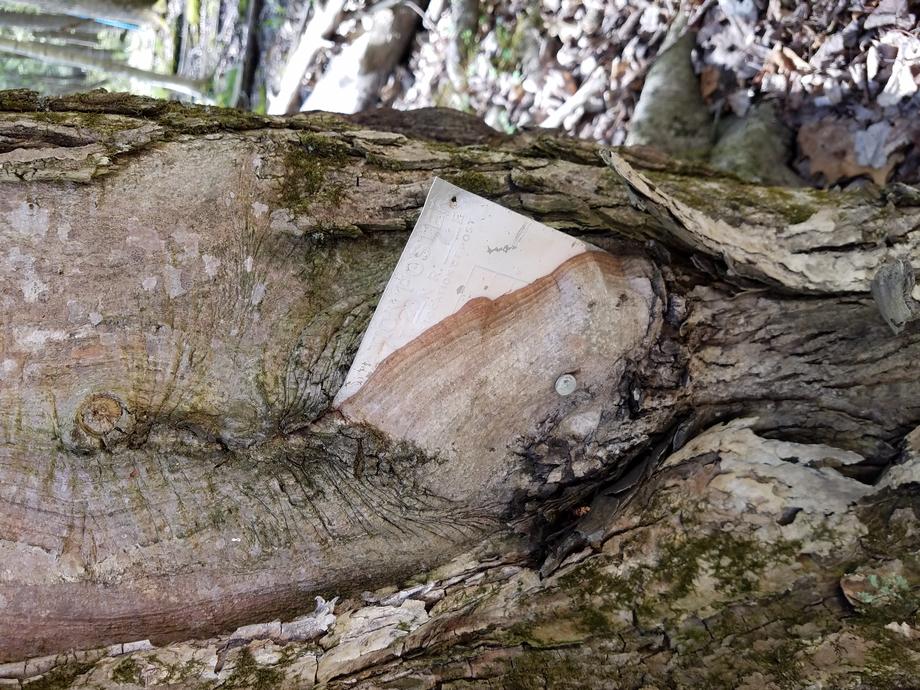 Field Photos Riverside Land Surveying LLC