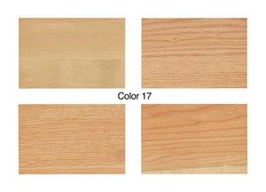 2E1D04E8-cf3dd4a_color_17.jpg