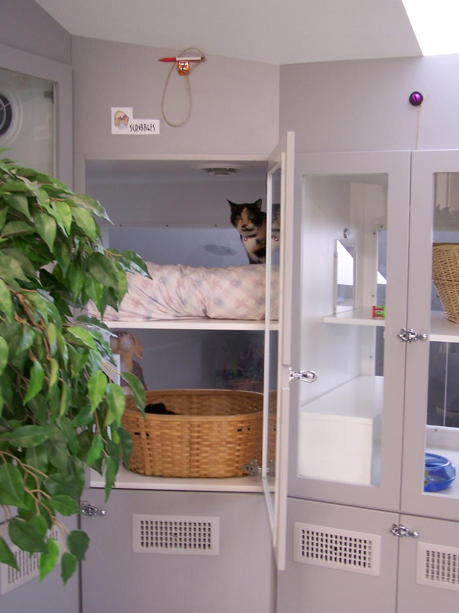 cat boarding condos