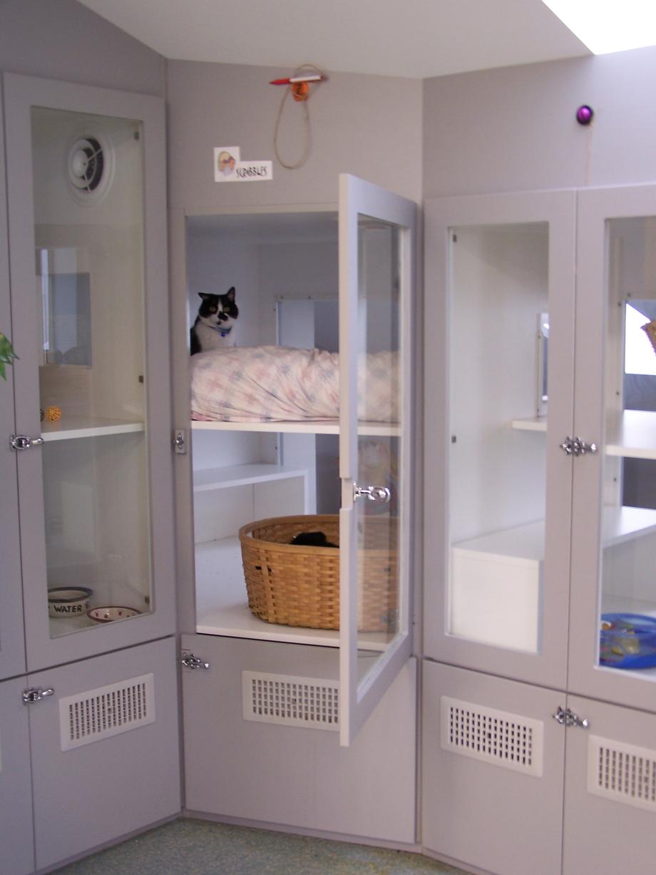 cat boarding condos