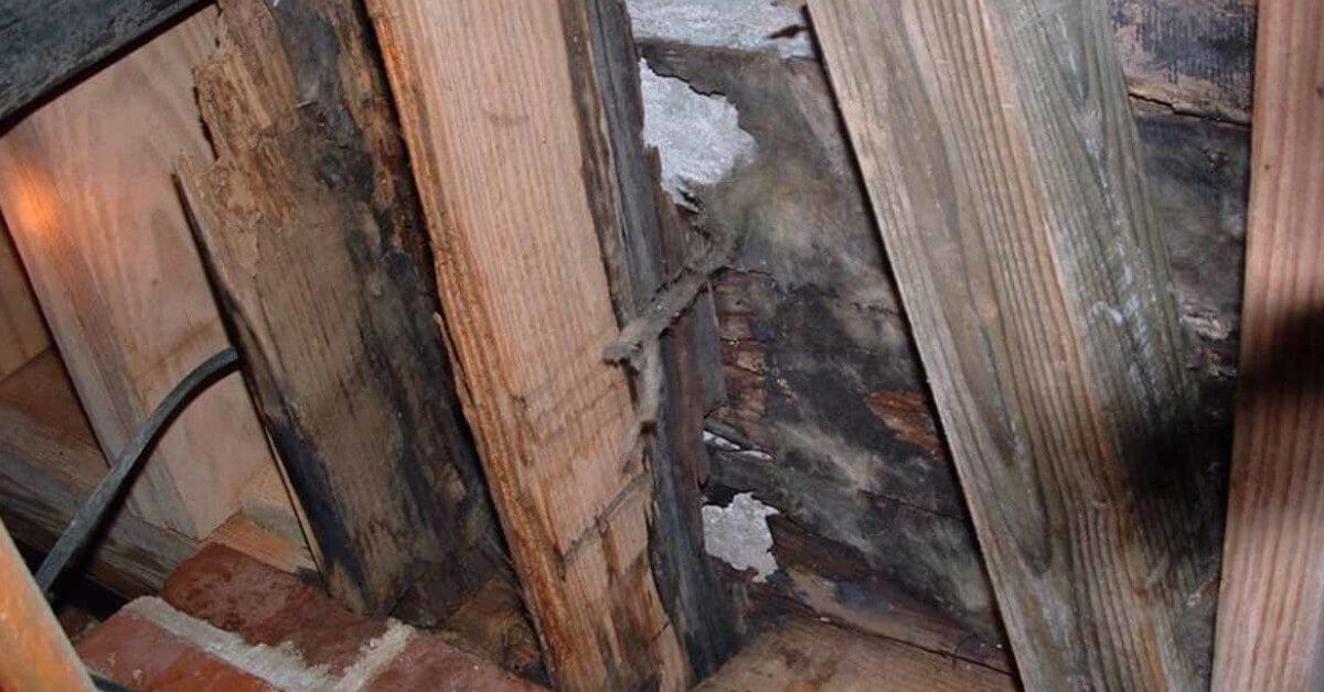 structural water damage