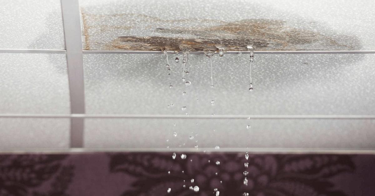 Water dripping from ceiling