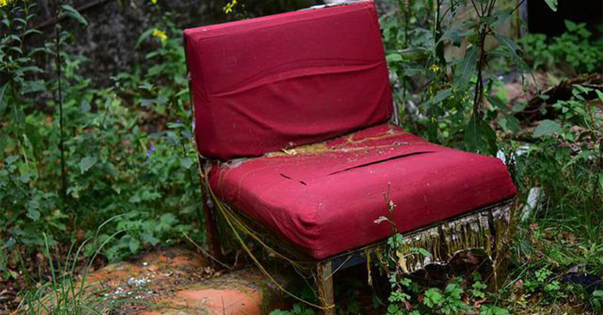 A chair with wet and damaged upholstery surrounded by vegetation. A chair with wet and damaged upholstery surrounded by vegetation.