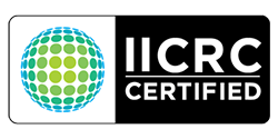 Proud Member of the Institute of Inspection Cleaning and Restoration Certification (IICRC)