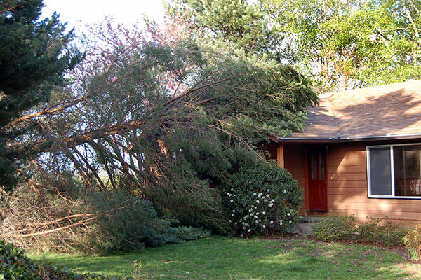 Storm Damage Restoration Storm Damage Restoration in Wausau, WI