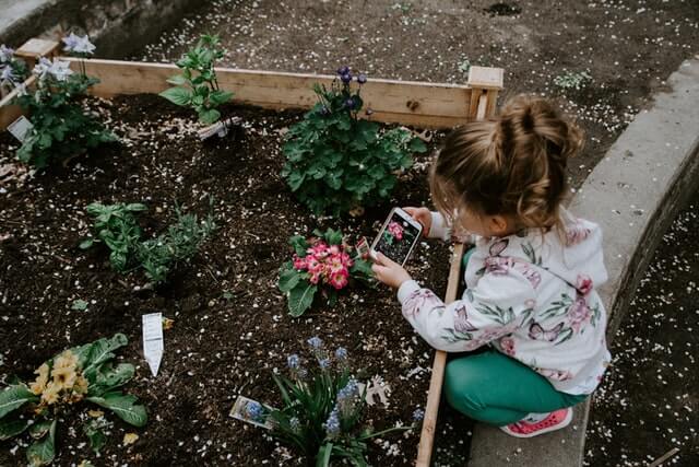 A girl taking a picture of a flower.