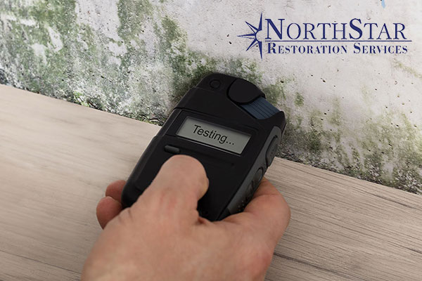 Mold Remediation Mold Remediation in Plover, WI