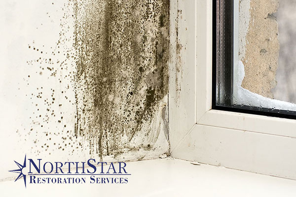 Mold Abatement Mold Abatement in Gleason, WI