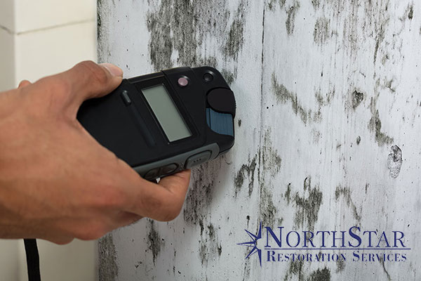 Mold Mitigation Mold Mitigation in Irma, WI