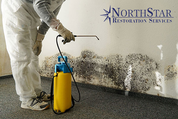 Mold Remediation Technicians Removing Mold Mold Remediation Technicians Removing Mold