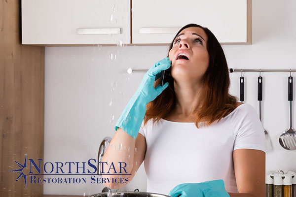 water damage repair water damage repair in Irma, WI
